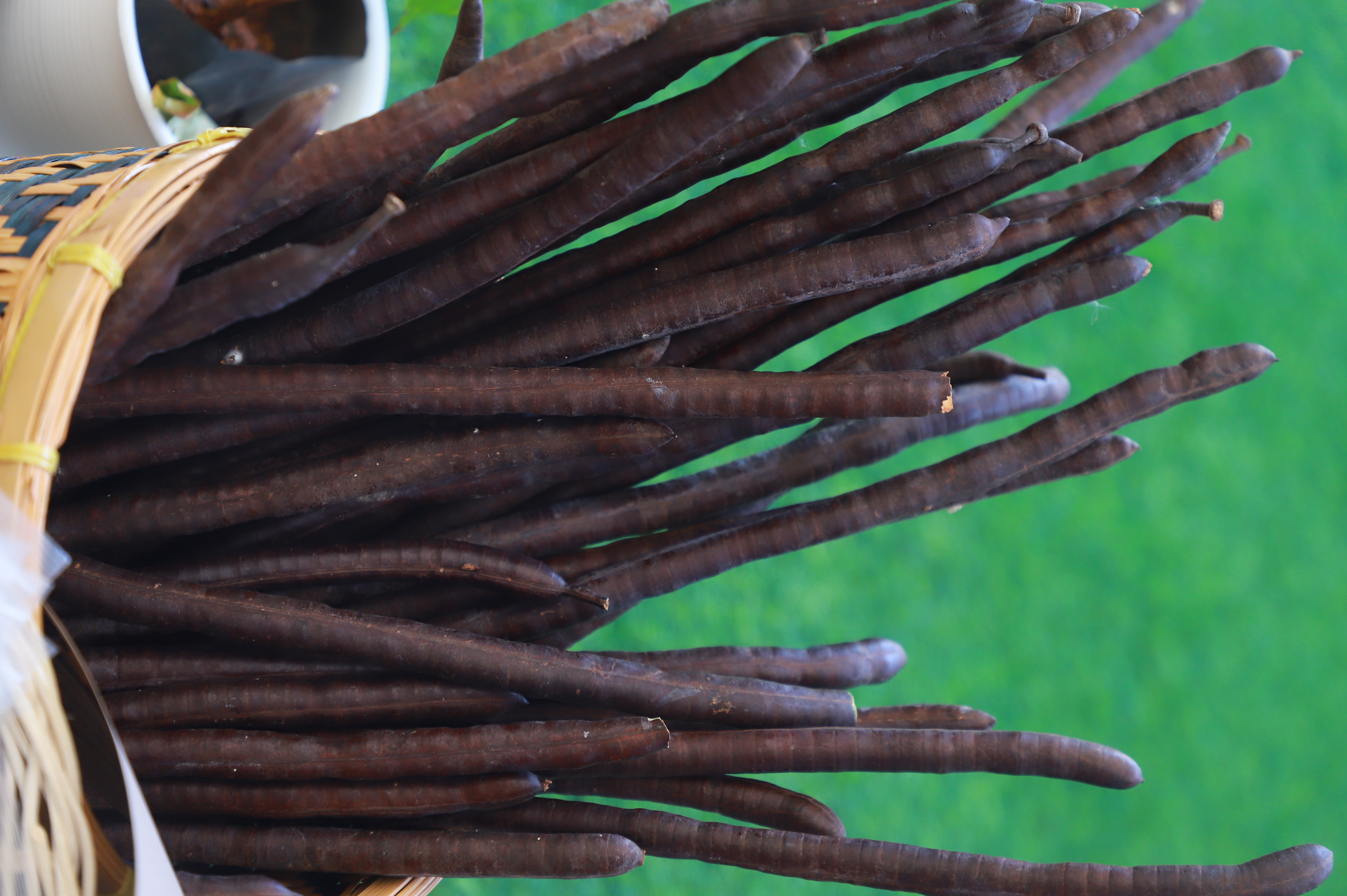 title - รองเลขาฯ ส.ป.ก. ร่วมงานมหกรรม “จากพันธุกรรม สู่ความยั่งยืน” รวมพลังอนุรักษ์ทรัพยากรไทย สร้างความมั่นคงทางอาหารอย่างยั่งยืน และการพึ่งพาตนเองในยามวิกฤต